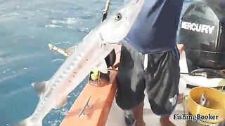 Март-август и 15-35 миль от Канкуна - рыбалка в Мексике