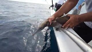 Ночной ход на Islas Marias - рыбалка в Мексике из Пуэрто-Вальярты