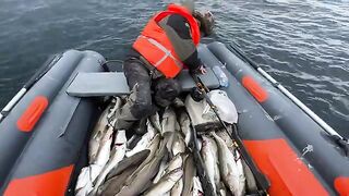 Из Костромы в Териберку за треской - рыбалка на треску на Баренцевом море