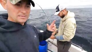 Spreader bars, живец и релиз bluefin - рыбалка в Англии