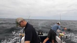 Spreader bars, живец и релиз bluefin - рыбалка в Англии