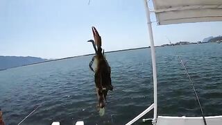 Лодка на весь день в Дальяне - рыбалка в Турции по креветке и кефали