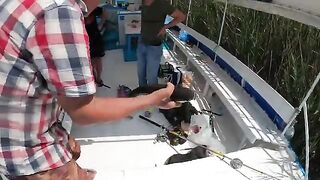 Лодка на весь день в Дальяне - рыбалка в Турции по креветке и кефали