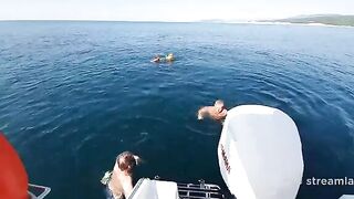 Морская рыбалка в Геленджике из Дивноморского на катере