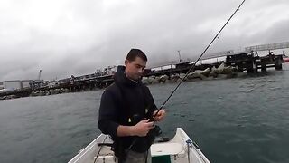 Живая креветка и подводная камера - рыбалка в Англии с лодки зимой