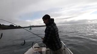 Живая креветка и подводная камера - рыбалка в Англии с лодки зимой