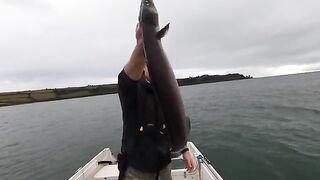 Живая креветка и подводная камера - рыбалка в Англии с лодки зимой