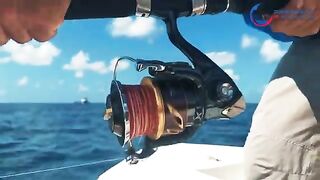 Аутриггеры, чайка и ранний выход - морская рыбалка в Алании