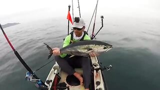 6-8 миль вниз по пляжу и yellowfin с каяка - рыбалка в Панаме