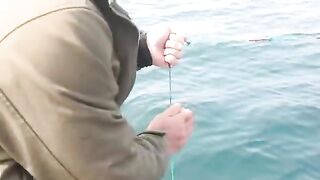 Палтус на 40 м у Итурупа - рыбалка в Тихом океане