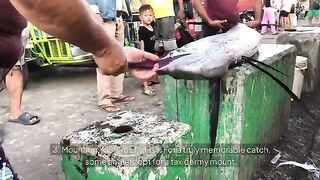 Рыбалка в США: первый глубоководный чартер с троллингом и донкой