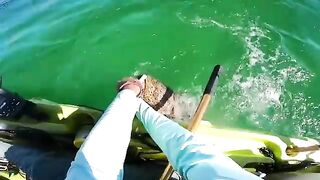 От Little Duck Key до Marathon и обратно: рыбалка в Флориде с каяка