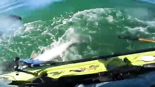 От Little Duck Key до Marathon и обратно: рыбалка в Флориде с каяка