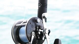 Эхолот, живой кальмар и риф после обеда - морская рыбалка в Паттайе