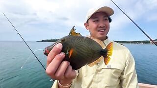 Рыбалка на Окинаве с плавучей платформы: 3 часа, сабики и кальмар