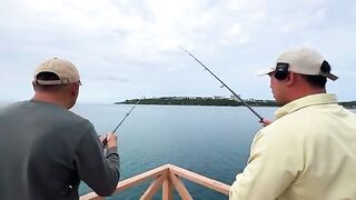 Рыбалка на Окинаве с плавучей платформы: 3 часа, сабики и кальмар