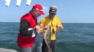 Камбала, кобия и tripletail у Port Canaveral - рыбалка во Флориде