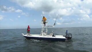 Камбала, кобия и tripletail у Port Canaveral - рыбалка во Флориде