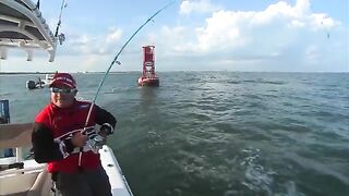 Камбала, кобия и tripletail у Port Canaveral - рыбалка во Флориде