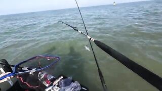 Portsmouth зимой: рыбалка в Англии на малой лодке