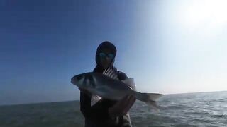 Portsmouth зимой: рыбалка в Англии на малой лодке