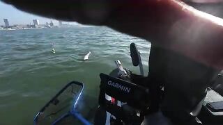 Portsmouth зимой: рыбалка в Англии на малой лодке