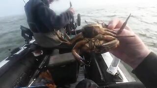 Portsmouth зимой: рыбалка в Англии на малой лодке