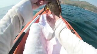 Каяк от Януй и выход к камням - морская рыбалка на Пхукете