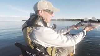 От весеннего striped bass до осенней albie: рыбалка в США с каяка на Cape Cod