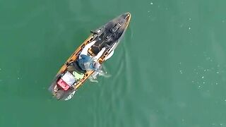 От весеннего striped bass до осенней albie: рыбалка в США с каяка на Cape Cod