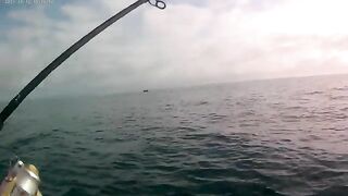 За луфарем из Алушты - рыбалка на Черном море с лодки ПВХ