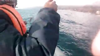 За луфарем из Алушты - рыбалка на Черном море с лодки ПВХ