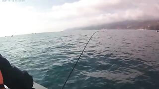 За луфарем из Алушты - рыбалка на Черном море с лодки ПВХ