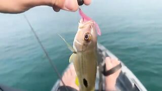 Морская рыбалка в Дубае с каяка: мост, течение и пустые поклевки