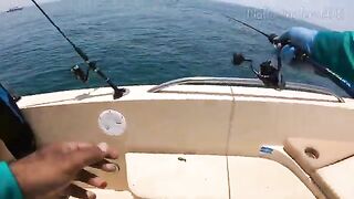 С марины на рабочую воду - рыбалка в Абу-Даби с лодки