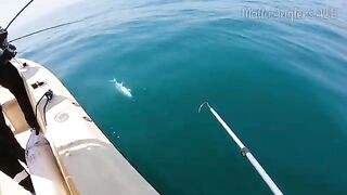 С марины на рабочую воду - рыбалка в Абу-Даби с лодки