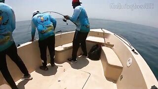 С марины на рабочую воду - рыбалка в Абу-Даби с лодки