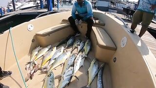 С марины на рабочую воду - рыбалка в Абу-Даби с лодки