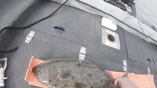 Из Berkeley Marina за крабом и палтусом: рыбалка в Калифорнии