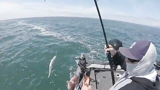 Из Berkeley Marina за крабом и палтусом: рыбалка в Калифорнии