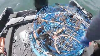 Из Berkeley Marina за крабом и палтусом: рыбалка в Калифорнии