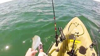 Якорная тележка, черноперая акула и 1,5 мили буксира - рыбалка во Флориде с каяка