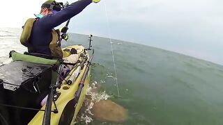 Якорная тележка, черноперая акула и 1,5 мили буксира - рыбалка во Флориде с каяка