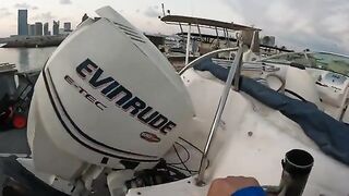 Подсачек под ногой и queenfish у борта - рыбалка в Абу-Даби с катера