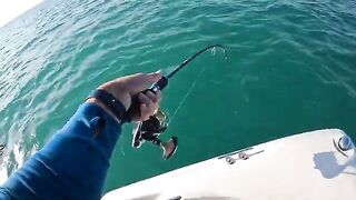 Подсачек под ногой и queenfish у борта - рыбалка в Абу-Даби с катера