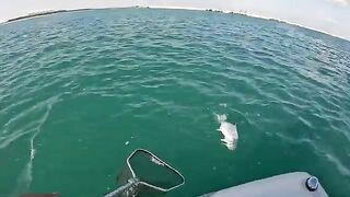 Подсачек под ногой и queenfish у борта - рыбалка в Абу-Даби с катера