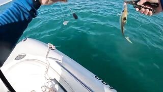 Подсачек под ногой и queenfish у борта - рыбалка в Абу-Даби с катера