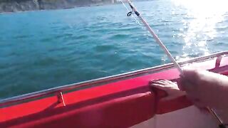 Туристический катер от пляжа - морская рыбалка в Геленджике у Архипо-Осиповки