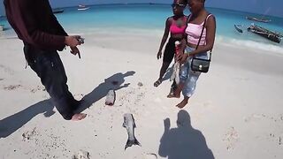 Бензин для чужой лодки и барракуда на обед - рыбалка на Занзибаре