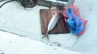 Утренний малый борт и Mr. Rohan - рыбалка в Индийском океане